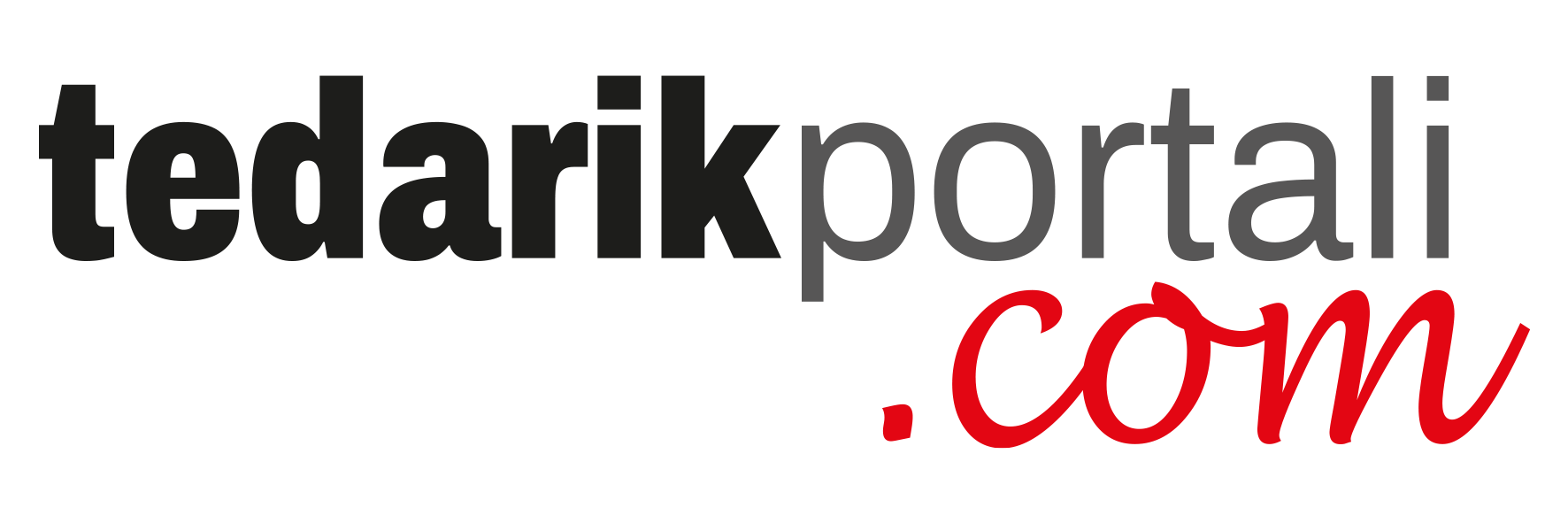 Tedarik Portali Logo